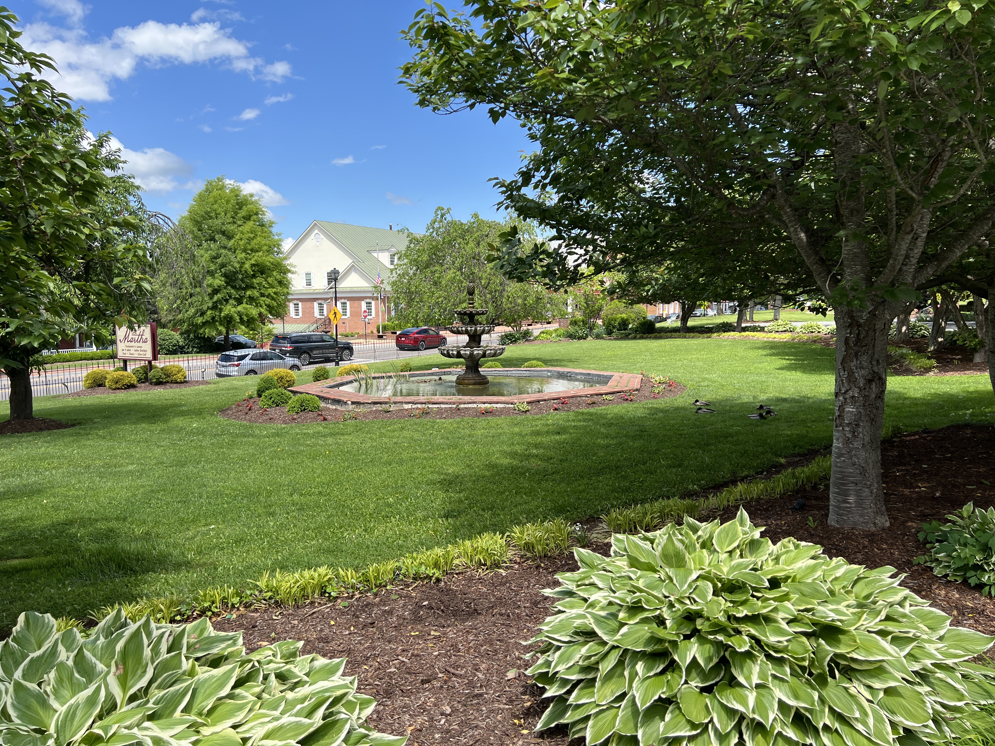 ./2025/04 - Virginia Creeper/IMG_5546.JPG